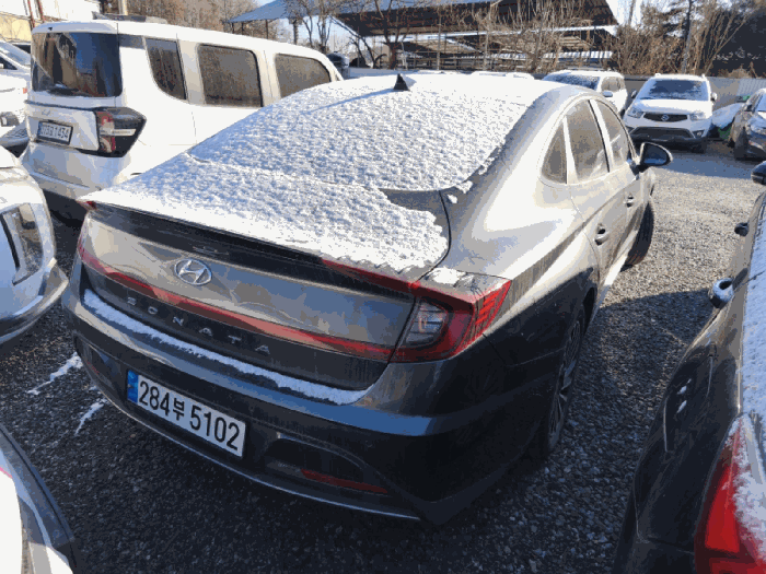 사진 12