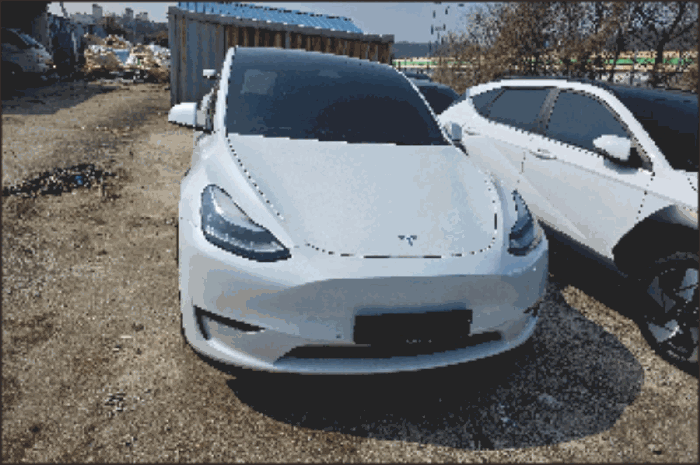 사진 2
