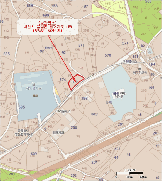 카니발 사진