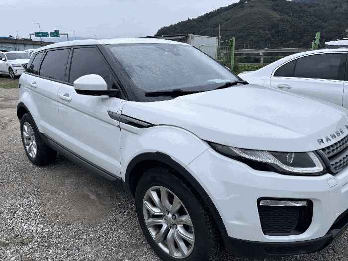 사진 6