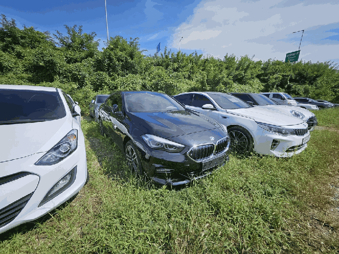 사진 5