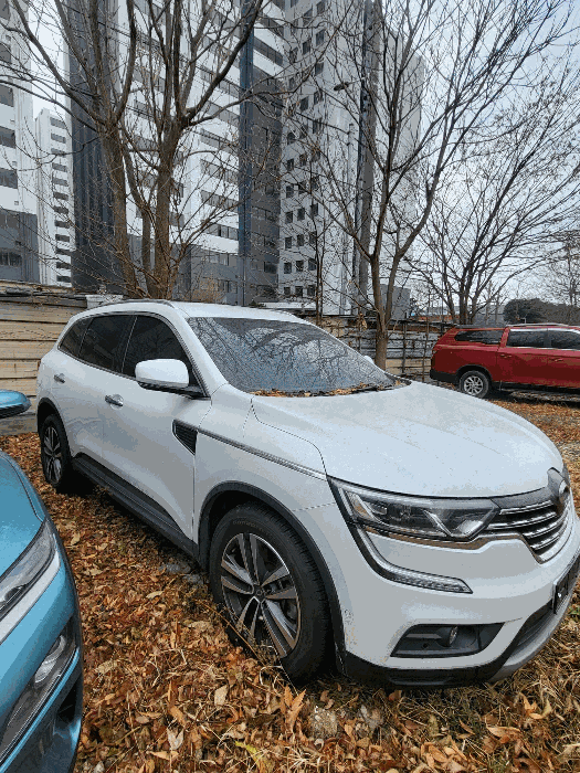 사진 3