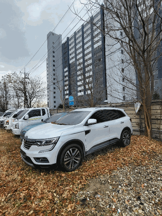 사진 7