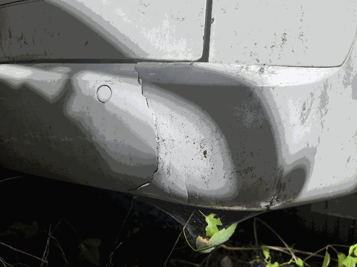 사진 7