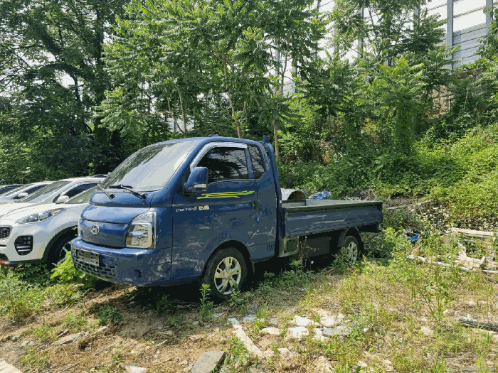 포터 사진