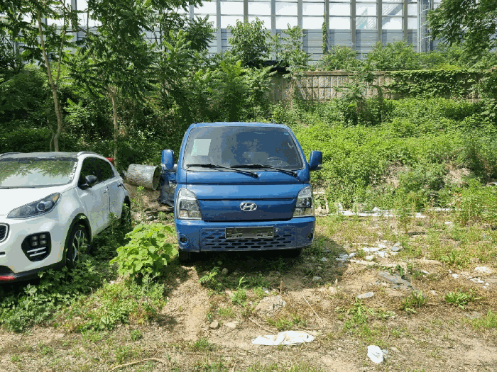 사진 2