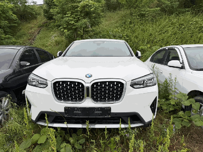 X4 사진