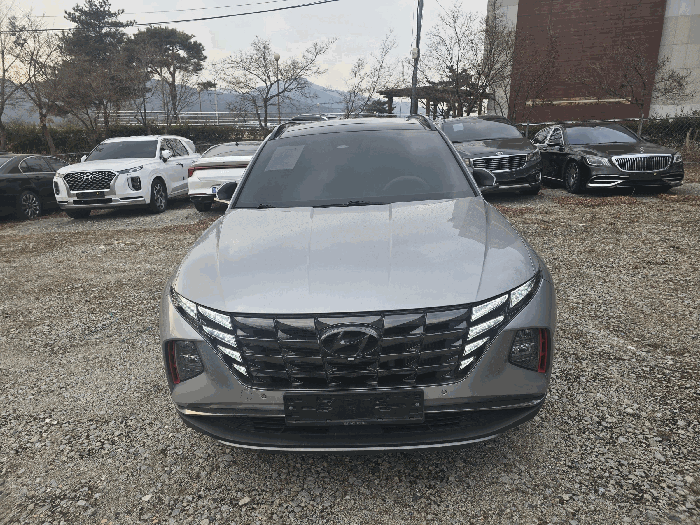 사진 3