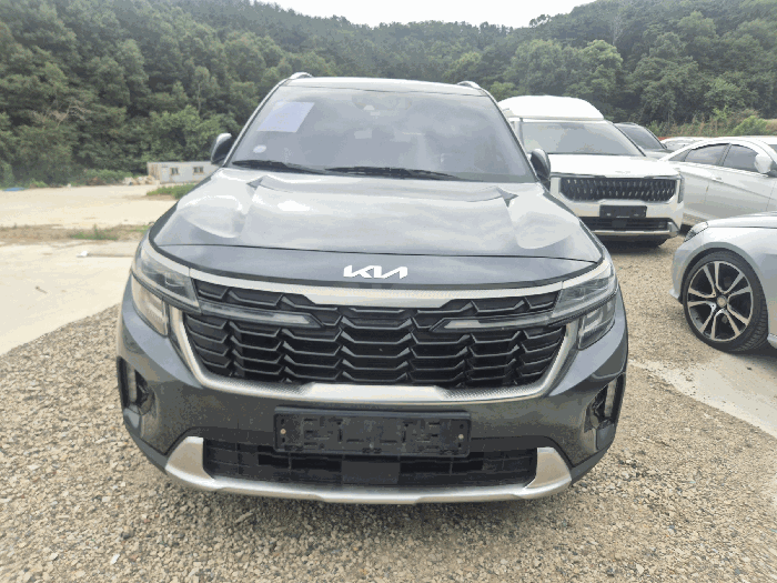 셀토스 사진