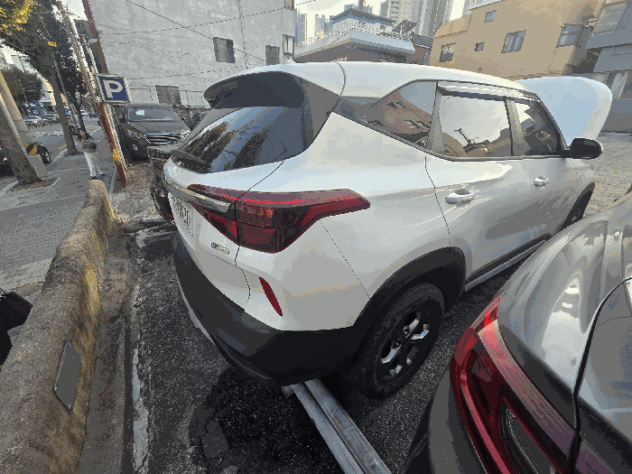 사진 5