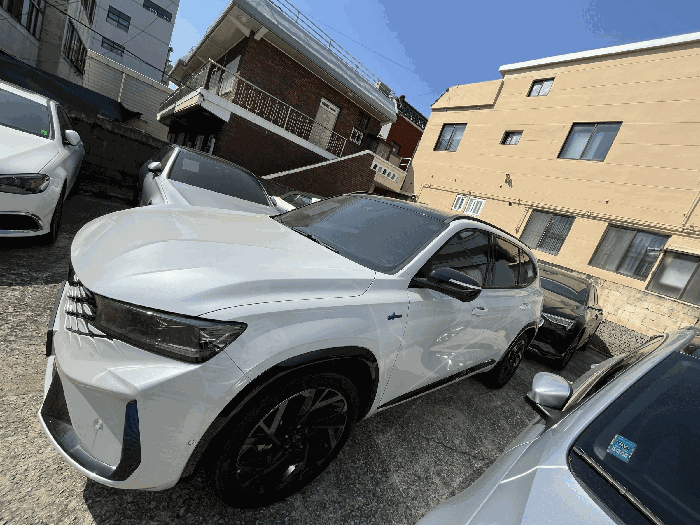 사진 8