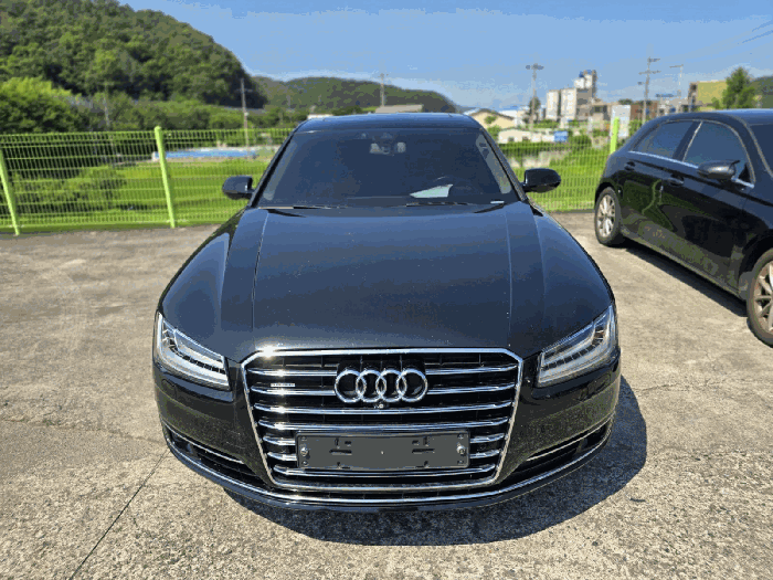 사진 11