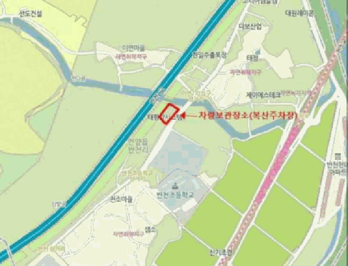 맥스크루즈 사진