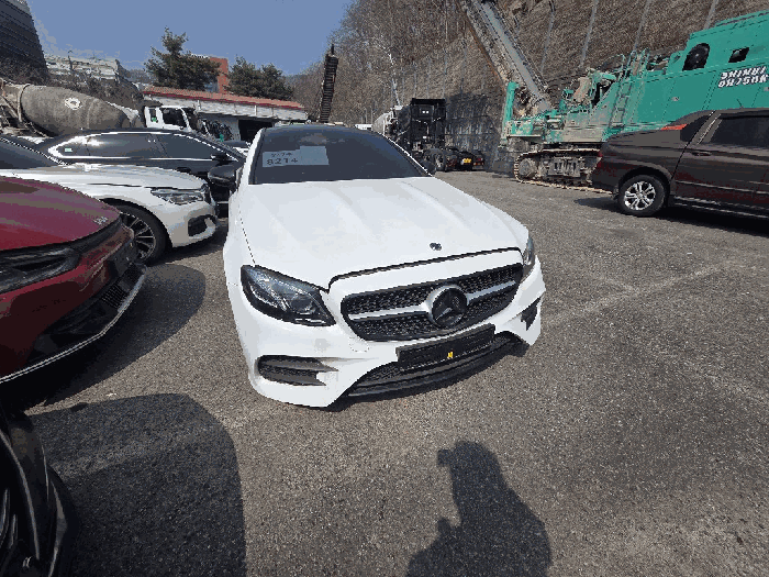 사진 5