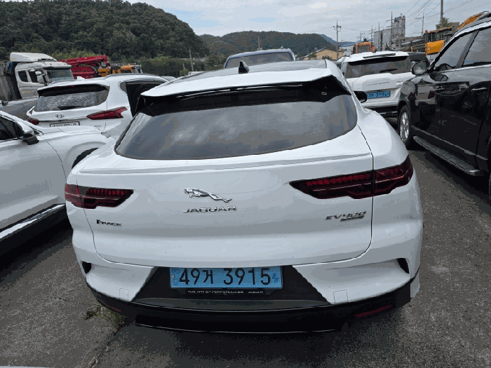 사진 12
