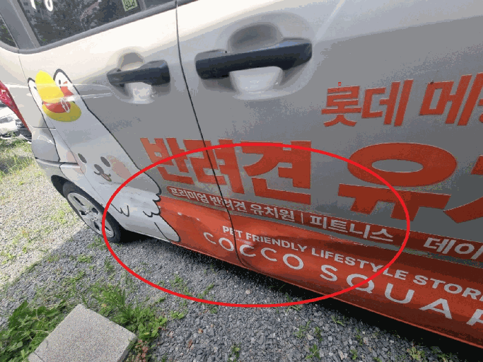 사진 7