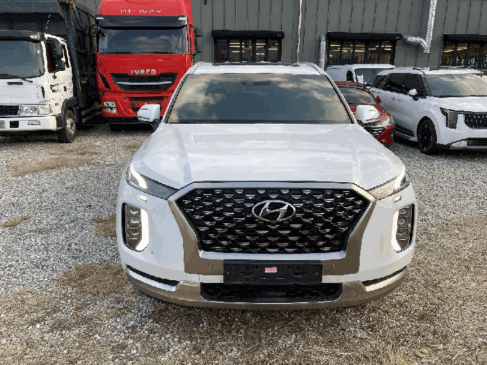 사진 5