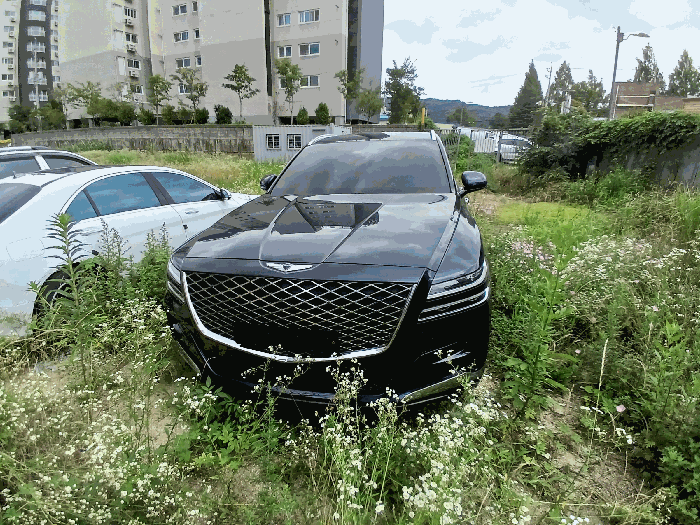 사진 4