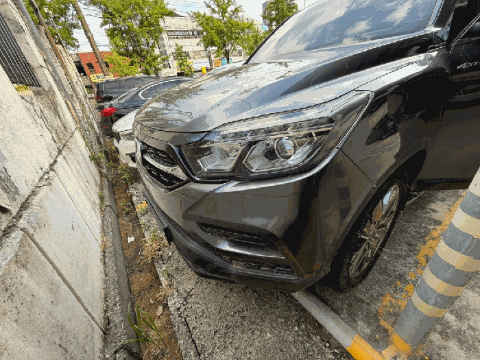 렉스턴스포츠 사진