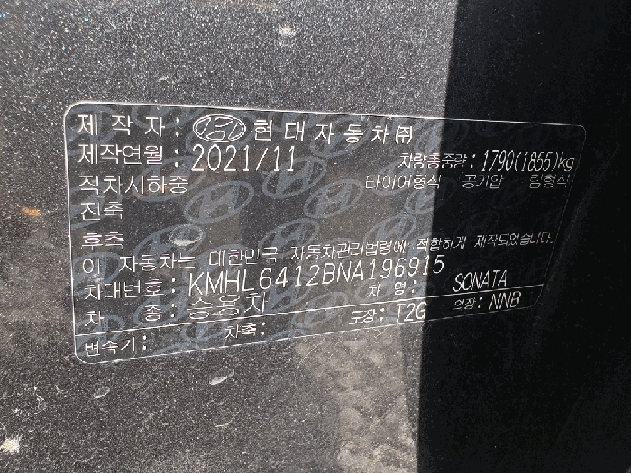 사진 10