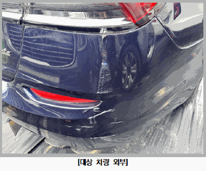 사진 7