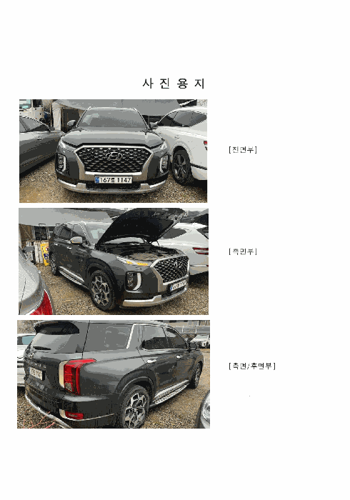 팰리세이드 사진