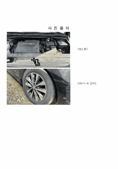 사진 3