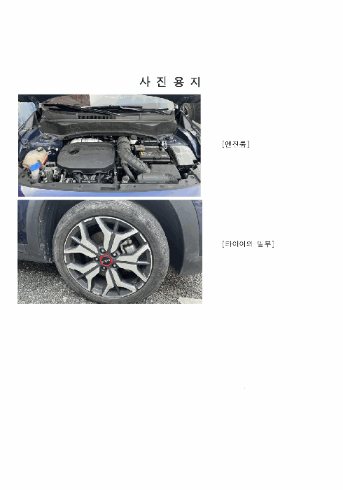 사진 3