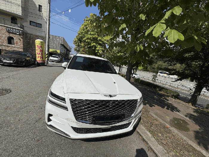 GV80 사진