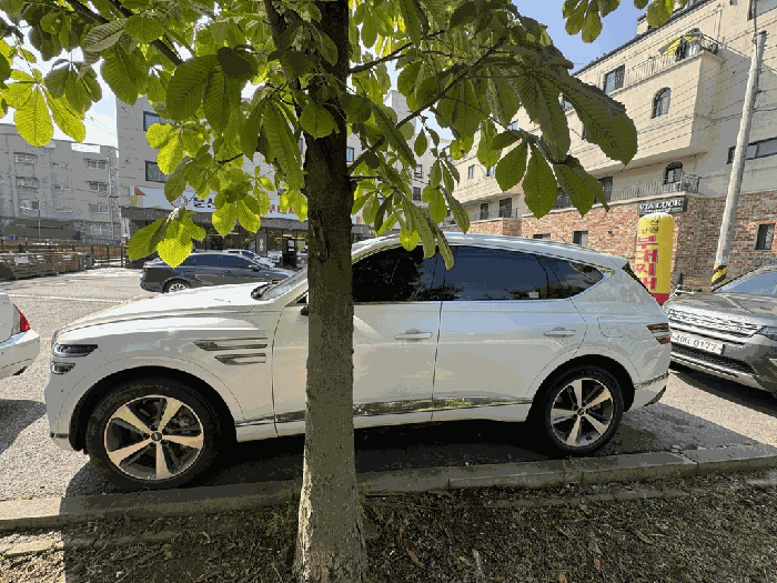 사진 5