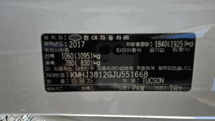 사진 10